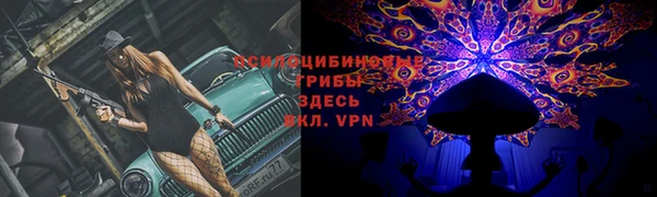 кокс Алексин