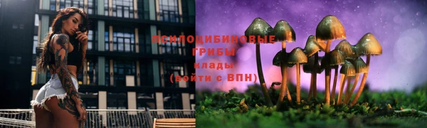 марки lsd Алексеевка