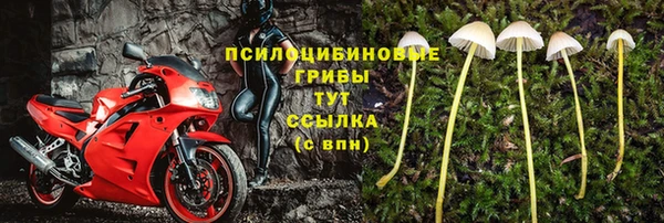 марки lsd Алексеевка