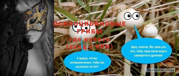 кокс Алексин